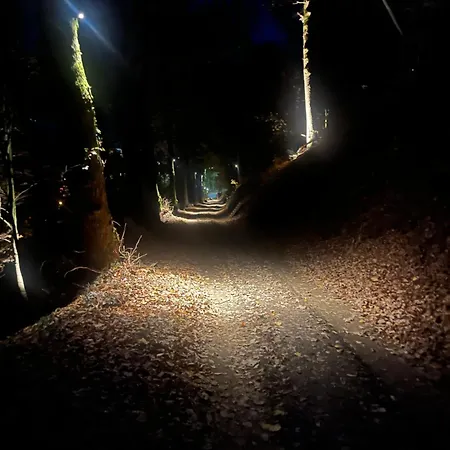 Шале Hortensia 7 Ла-Рош-ан-Арден