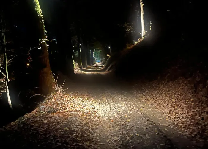 Σαλέ Hortensia 7 La-Roche-en-Ardenne