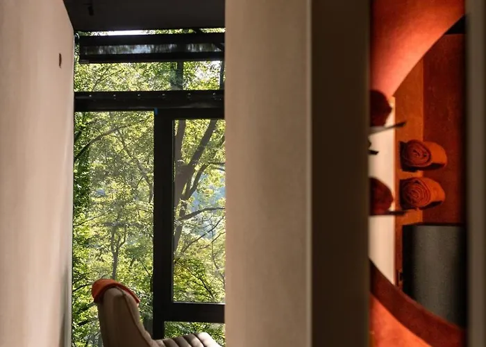 Hortensia 7 * La-Roche-en-Ardenne